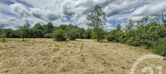 2 غرف نوم منزل في Chaumont-sur-Tharonne, France رقم 58968 18