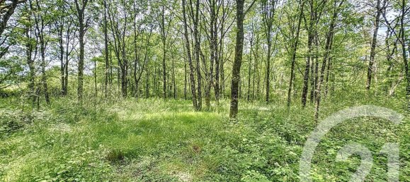 2 غرف نوم منزل في Chaumont-sur-Tharonne, France رقم 58968 4