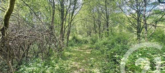 2 غرف نوم منزل في Chaumont-sur-Tharonne, France رقم 58968 14