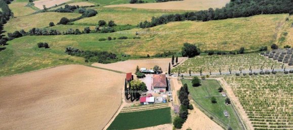 10-Zimmer Haus in Certaldo, Italy, Nr. 30616 59