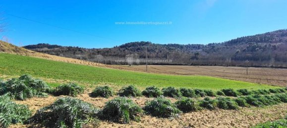 10-Zimmer Haus in Certaldo, Italy, Nr. 30616 16