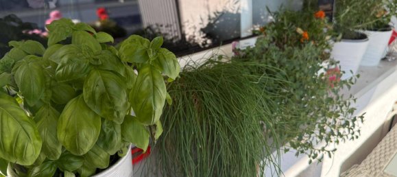 3 rooms Apartment in Villach, Austria No. 226431 11