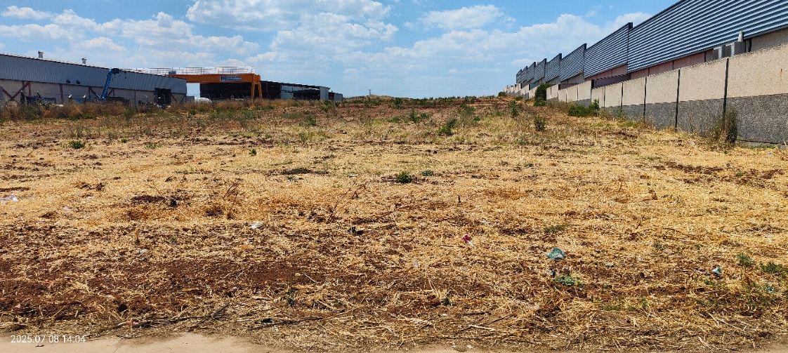 10000m² Land in Almendralejo, Spain No. 194120