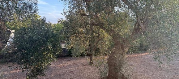 2 Schlafzimmer Villa in Ceglie Messapica, Italy, Nr. 328449 5