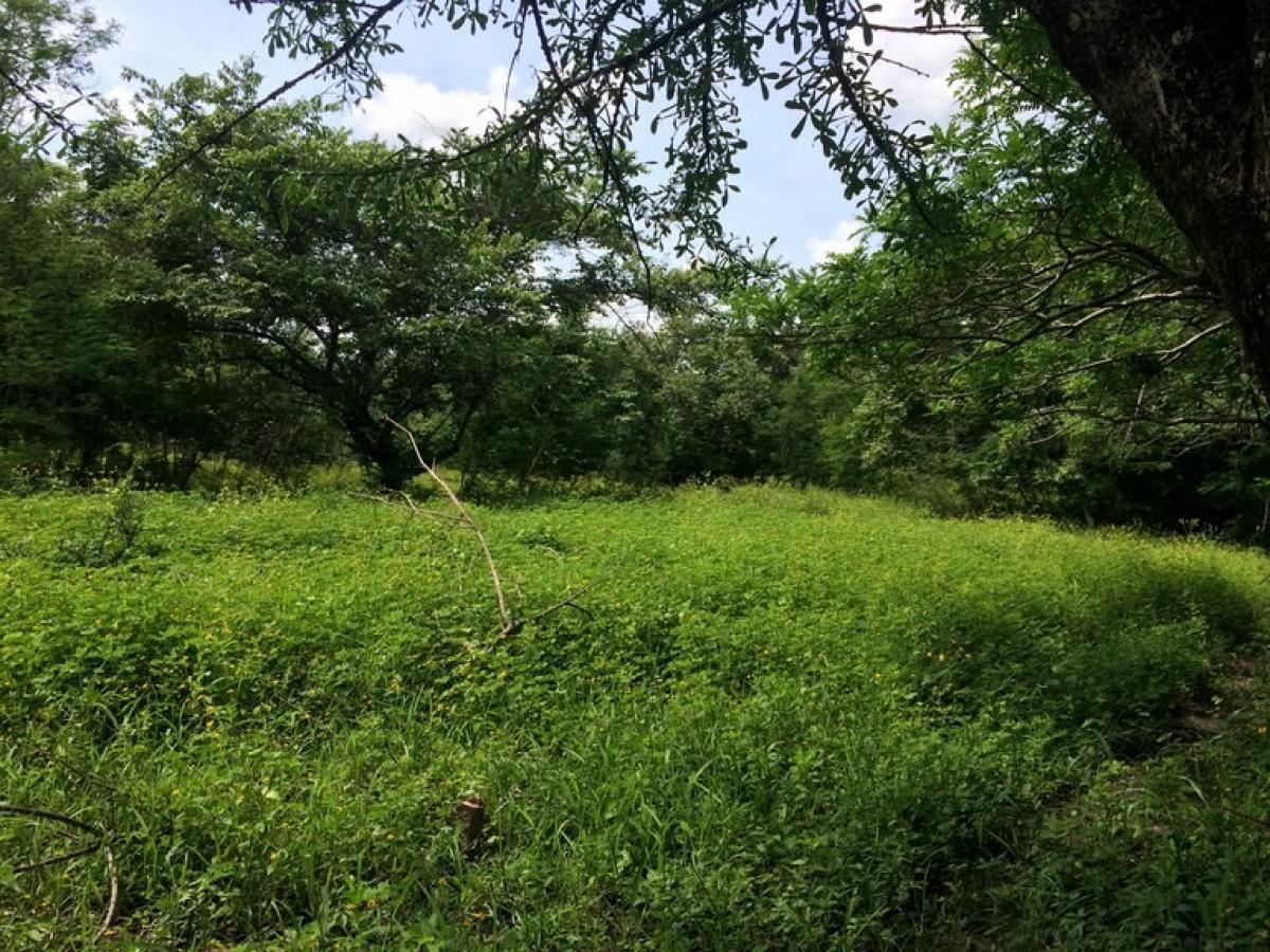 terreno en venta en Liberia, Guanacaste, Costa Rica № 1618