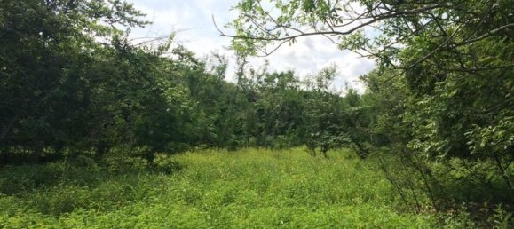 terreno en venta en Liberia, Guanacaste, Costa Rica № 1618 4