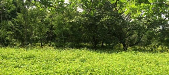 terreno en venta en Liberia, Guanacaste, Costa Rica № 1618 3