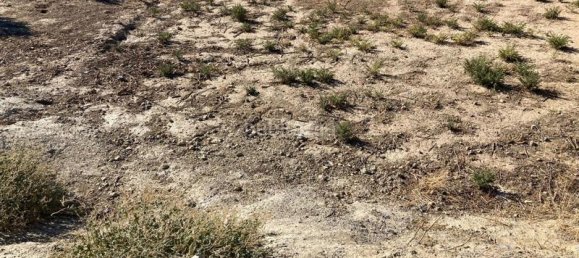 Grundstück in Granada, Spain 700m², Nr. 179330 6