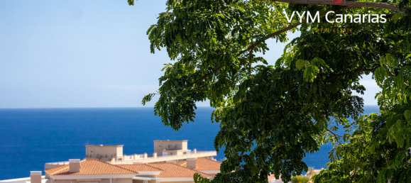 2 bedrooms Townhouse in Callao Salvaje, Spain No. 15290 24