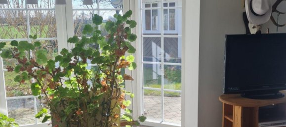 6 غرف نوم منزل في Nordfriesland, Germany رقم 350196 12