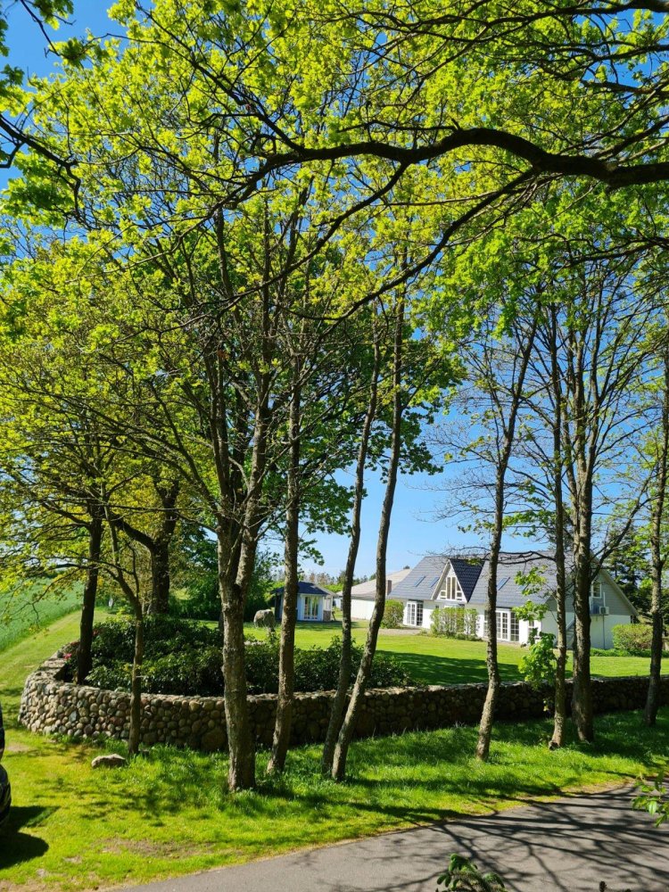 6 غرف نوم منزل في Nordfriesland, Germany رقم 350196