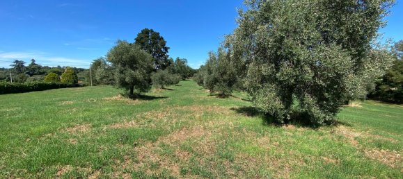 Земельный участок в Лубриано, Италия № 371927 9