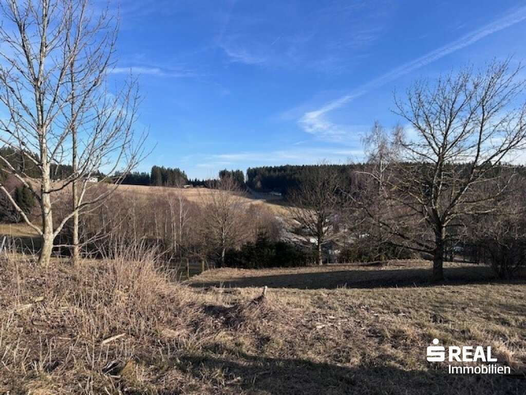  Land in Hellmonsodt, Austria No. 85288