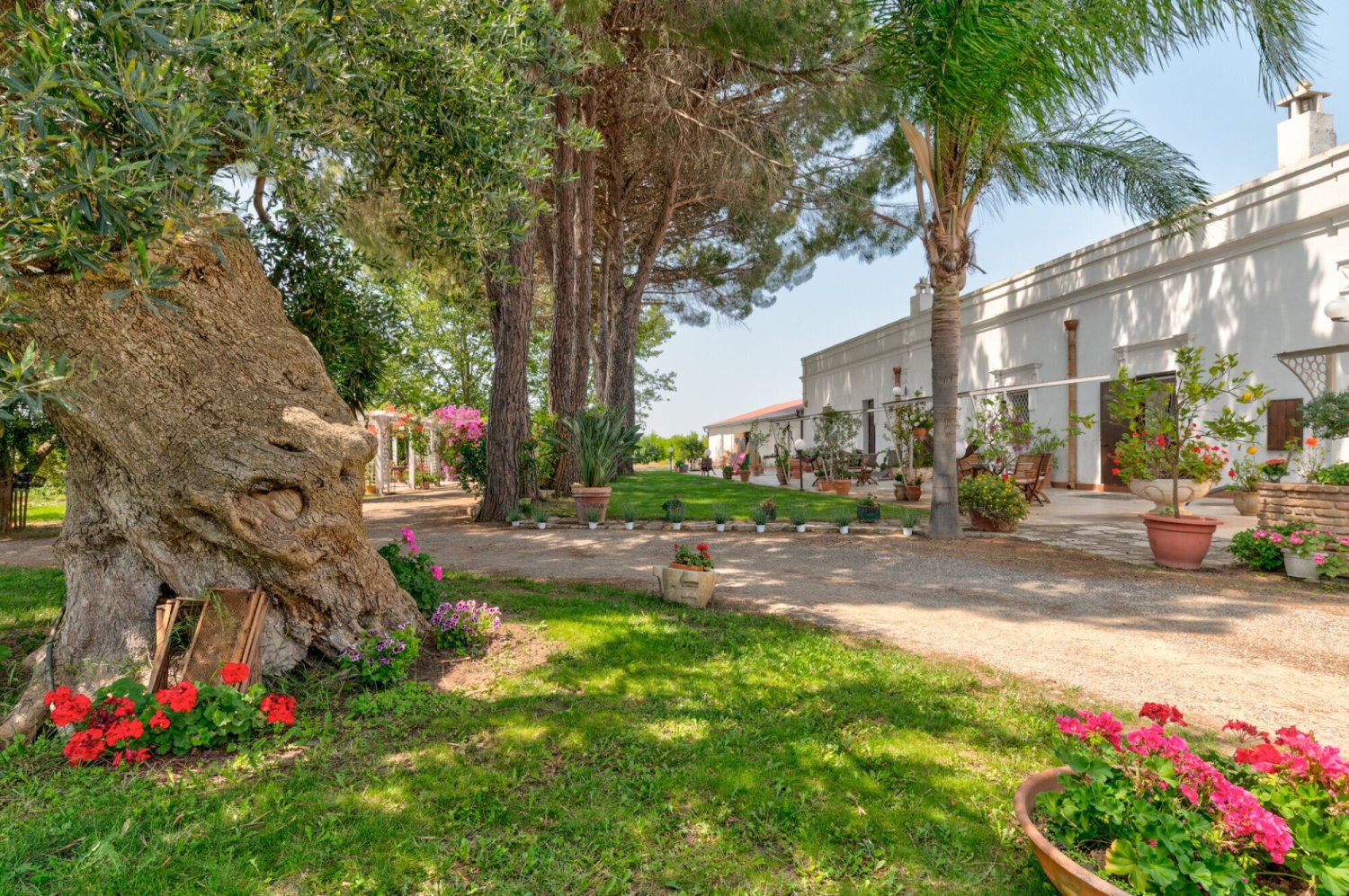 Casa de 10 dormitorios en Ginosa, Italy No. 345682