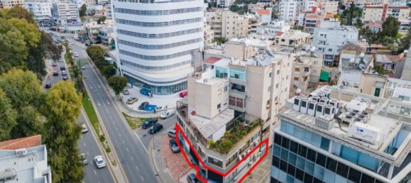 Gewerbliche Immobilie in Nicosia, Cyprus 370m², Nr. 12223 3