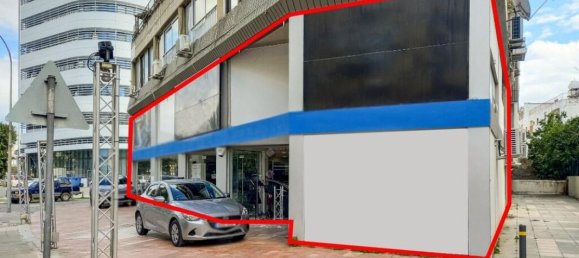 Gewerbliche Immobilie in Nicosia, Cyprus 370m², Nr. 12223 5