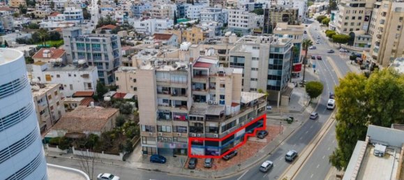Gewerbliche Immobilie in Nicosia, Cyprus 370m², Nr. 12223 4