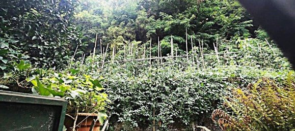 207m² Warehouse in Camaiore, Italy No. 276104 7