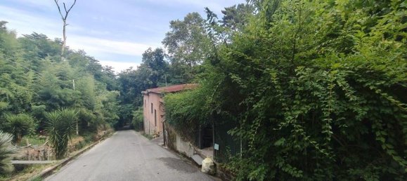 207m² Warehouse in Camaiore, Italy No. 276104 19