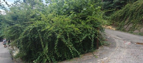 207m² Warehouse in Camaiore, Italy No. 276104 21