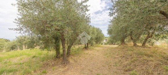 استوديو في Monte Porzio Catone, Italy رقم 356894 6