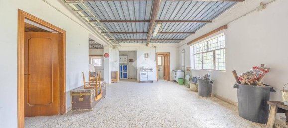 استوديو في Monte Porzio Catone, Italy رقم 356894 12