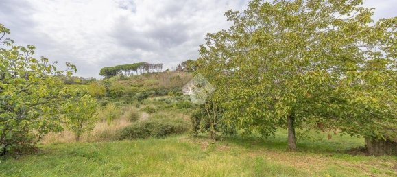 استوديو في Monte Porzio Catone, Italy رقم 356894 5