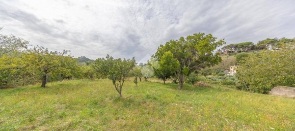 استوديو في Monte Porzio Catone, Italy رقم 356894 7