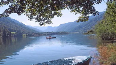  قطعة أرض في Faistenau, Austria رقم 94021