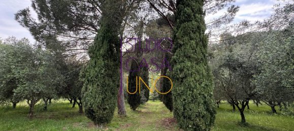 21-Zimmer Villa in Terranuova Bracciolini, Italy, Nr. 124294 11