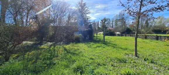 6 bedrooms House in Chailly-en-Gatinais, France No. 72433 24