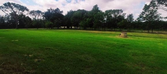 8-Zimmer Haus in Castiglion Fiorentino, Italy, Nr. 219075 9