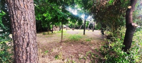 8-Zimmer Haus in Castiglion Fiorentino, Italy, Nr. 219075 5