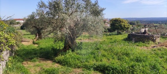 3 غرف نوم منزل في Sardoal, Portugal رقم 167841 16