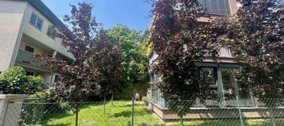 3 rooms Office in Liesing, Austria No. 183974 3