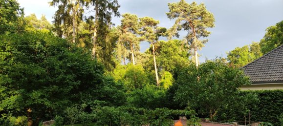 Дом с 3 спальнями в Хафельланд, Германия № 310073 34