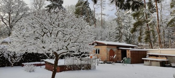 Дом с 3 спальнями в Хафельланд, Германия № 310073 41