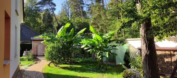 Дом с 3 спальнями в Хафельланд, Германия № 310073 37