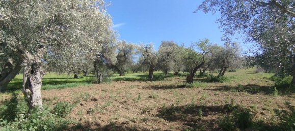 3000m² Land in Bari, Italy No. 29875 16