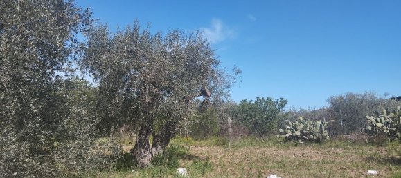 3000m² Land in Bari, Italy No. 29875 14