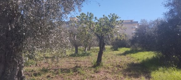 3000m² Land in Bari, Italy No. 29875 5