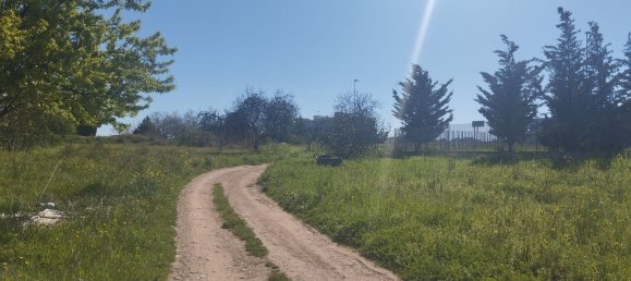 3000m² Land in Bari, Italy No. 29875 11