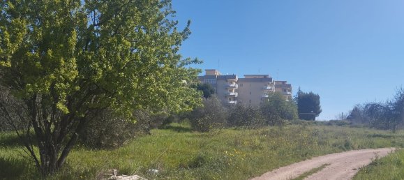 3000m² Land in Bari, Italy No. 29875 15