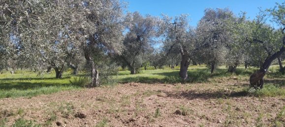 3000m² Land in Bari, Italy No. 29875 2
