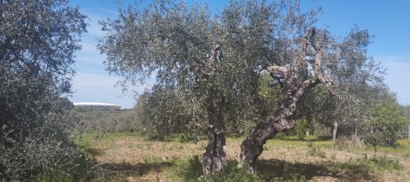 3000m² Land in Bari, Italy No. 29875 8