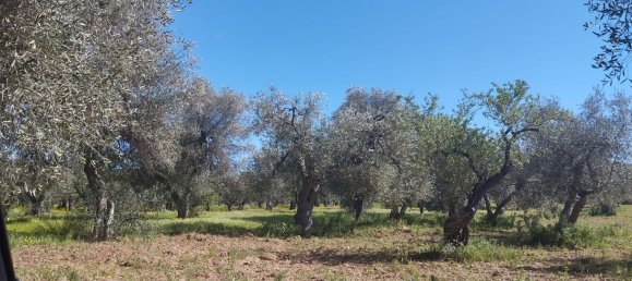 3000m² Land in Bari, Italy No. 29875 3