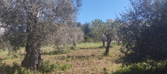 3000m² Land in Bari, Italy No. 29875 7