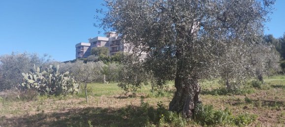 3000m² Land in Bari, Italy No. 29875 6