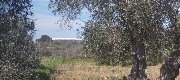3000m² Land in Bari, Italy No. 29875 9
