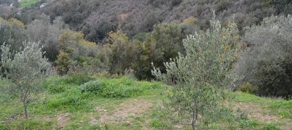 28400m² Land in Pollica, Italy No. 133946 5